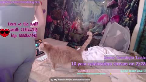 Cassie online show from 02-26-26, 07:46