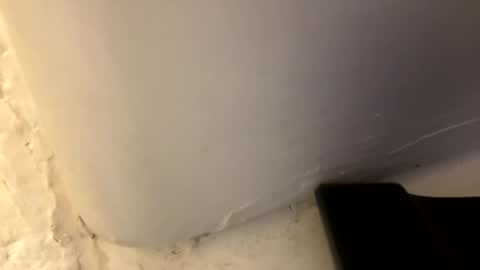 Snapshot of trickydick6 chatting on 04-26-26, 03:42 trickydick6 online show from 04-26-26, 03:42