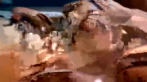 trigood online show from 02-13-25, 02:01