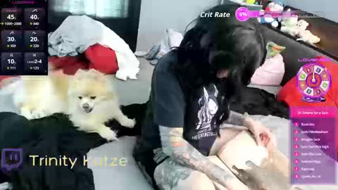 Snapshot of trinitykatze chatting on 09-26-25, 08:02 Trin Kat pet online show from 09-26-25, 08:02