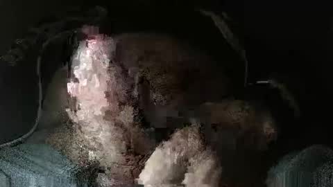 triponsex online show from 03-24-26, 09:42