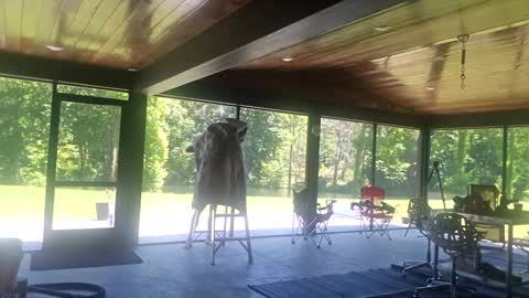 trojanswingers online show from 06-02-26, 06:32
