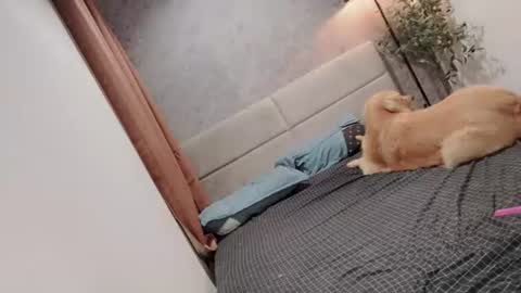 ts_danielahugecock_xxx online show from 06-22-26, 11:51