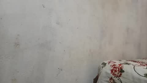 Tsunayoshi321 online show from 12-15-25, 11:25