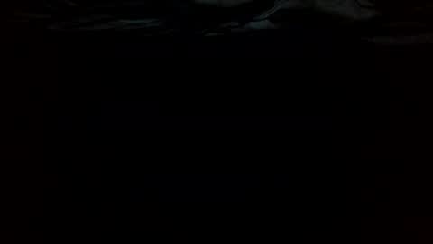 Snapshot of ttess0742 chatting on 06-16-26, 02:36 ttess0742 online show from 06-16-26, 02:36