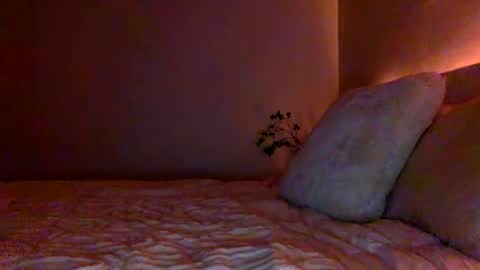 Snapshot of ttess0742 chatting on 07-19-26, 12:47 ttess0742 online show from 07-19-26, 12:47