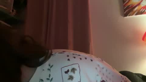 Snapshot of tulipisnotaperson chatting on 02-02-26, 04:00 Tulip online show from 02-02-26, 04:00