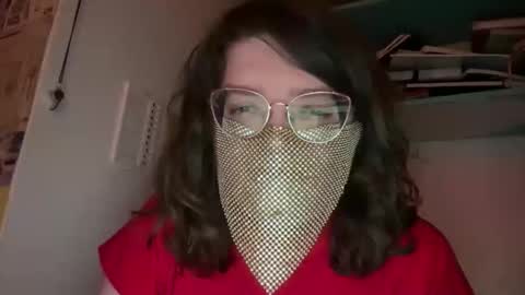 Snapshot of tulipisnotaperson chatting on 02-23-26, 05:49 Tulip online show from 02-23-26, 05:49