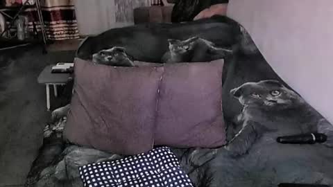 Lana online show from 03-16-26, 06:45