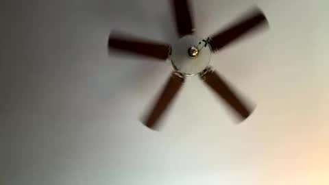 twerkandjerkk online show from 04-16-26, 01:23