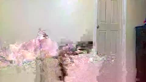 Snapshot of twinflamecaps chatting on 04-09-26, 08:20 twinflamecaps online show from 04-09-26, 08:20