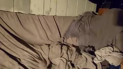 Snapshot of twistedblizzy chatting on 01-22-25, 06:20 TwistedBlizzy online show from 01-22-25, 06:20