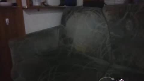 tybud4200 online show from 10-20-25, 07:31
