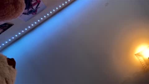 SexLover online show from 02-17-26, 03:08
