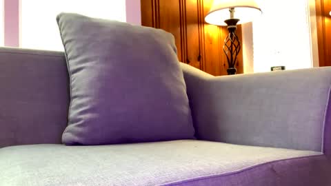 Tyler Sands online show from 02-07-25, 02:58