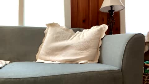 Tyler Sands online show from 03-02-25, 03:05