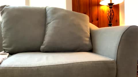 Tyler Sands online show from 03-07-25, 03:49