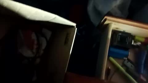 Snapshot of tylershroyer7 chatting on 10-28-25, 03:14 Dudeman online show from 10-28-25, 03:14