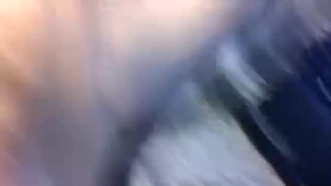 uncut7half237495 online show from 10-17-25, 03:42