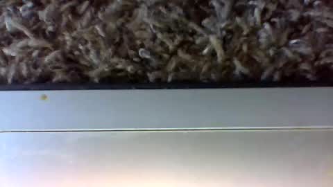 tele kuzhbuzh online show from 01-24-25, 06:25