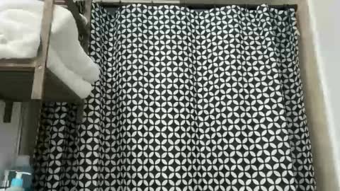 Stepbro online show from 12-02-25, 10:49