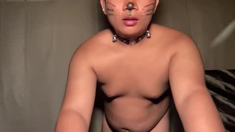 Snapshot of ur_fucking2005 chatting on 04-08-26, 03:56 DA online show from 04-08-26, 03:56