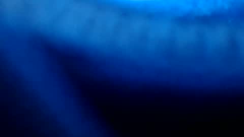 urasian_pinayjessaxxx online show from 07-08-26, 07:13