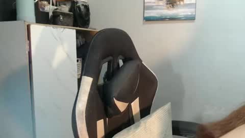 Snapshot of urasianfuckprincessxxx chatting on 01-31-25, 09:59 urasianfuckprincessxxx online show from 01-31-25, 09:59