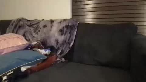 Urwivesaffair online show from 10-12-25, 01:54