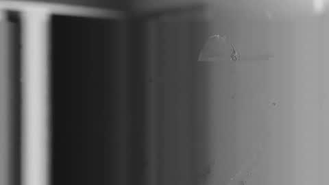 Snapshot of user2f chatting on 12-04-25, 10:57 steve online show from 12-04-25, 10:57