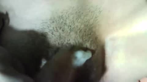 Vale 123 online show from 12-28-24, 07:00