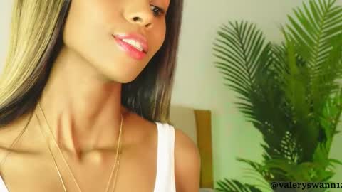 Snapshot of valery_swan1 chatting on 11-12-25, 03:29 Valery swan1 online show from 11-12-25, 03:29