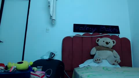 Snapshot of valerybaker1 chatting on 12-17-24, 10:22 B V Naughty online show from 12-17-24, 10:22