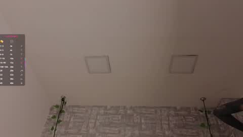 Snapshot of valerykat_ chatting on 12-21-25, 01:18 valerykat_ online show from 12-21-25, 01:18