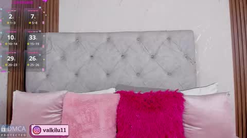 Snapshot of valkilu11 chatting on 11-15-25, 01:03 valkilu11 online show from 11-15-25, 01:03