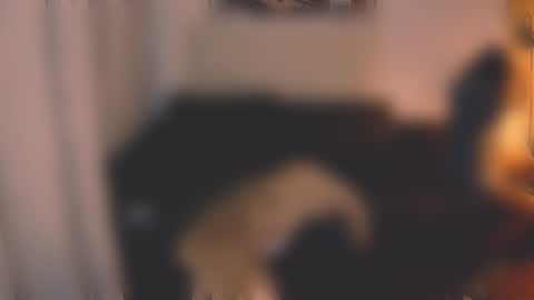 Snapshot of valorant_girl chatting on 12-07-24, 03:08 Little Devil online show from 12-07-24, 03:08