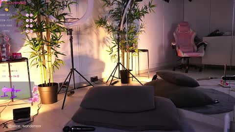 Vanessa Simon online show from 01-25-25, 11:44