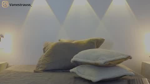 Snapshot of vanestrauss chatting on 02-22-25, 08:53 New account follow me online show from 02-22-25, 08:53