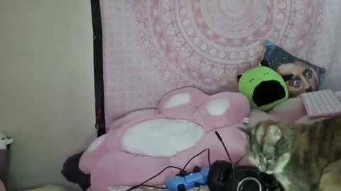 Veronica Lehane online show from 01-09-25, 07:10