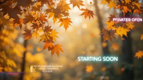 vegas_romance online show from 09-21-25, 11:50