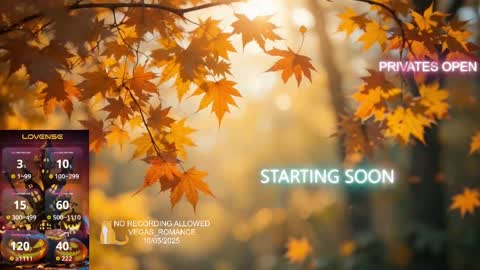 vegas_romance online show from 10-06-25, 12:19