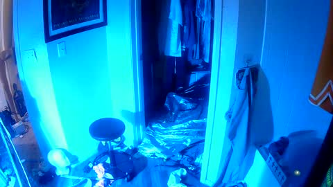 Snapshot of vegasmd chatting on 02-04-25, 11:38 vegasmd online show from 02-04-25, 11:38