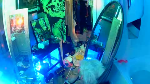 Snapshot of vegasmd chatting on 02-16-25, 01:58 vegasmd online show from 02-16-25, 01:58