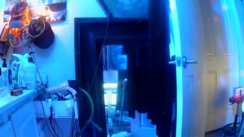 Snapshot of vegasmd chatting on 03-12-25, 10:59 vegasmd online show from 03-12-25, 10:59