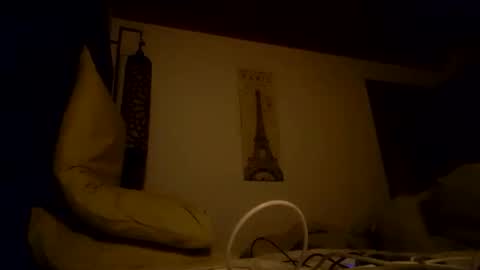 Snapshot of vegboy87 chatting on 11-11-25, 06:41 vegboy87 online show from 11-11-25, 06:41