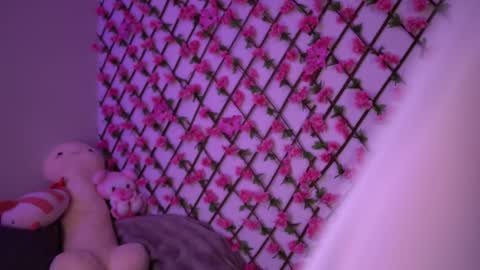 Snapshot of velvet_vice chatting on 11-04-25, 06:18 Polly online show from 11-04-25, 06:18