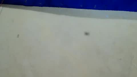 Snapshot of velvetrain69 chatting on 12-12-24, 08:25 velvet online show from 12-12-24, 08:25