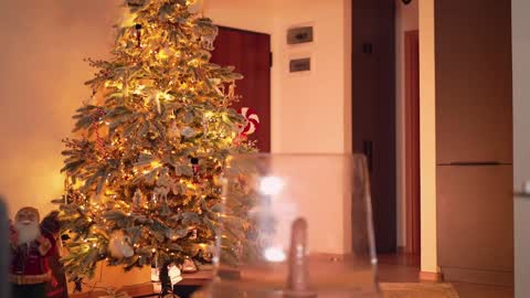 Snapshot of velvettangel chatting on 12-05-24, 01:17 Adalline online show from 12-05-24, 01:17