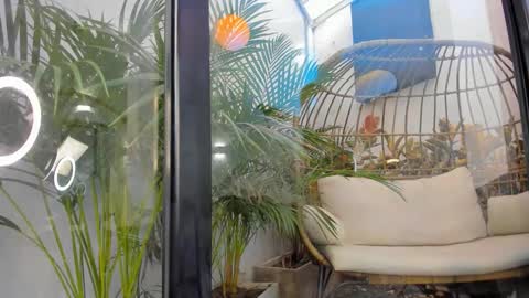 VENUS online show from 11-20-25, 11:43