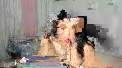 venus online show from 11-30-25, 02:04